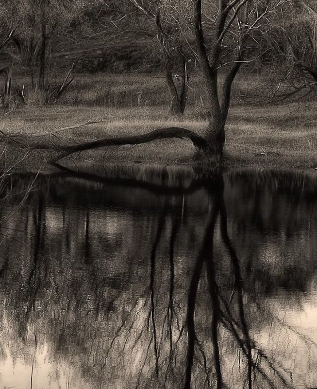 Межсезоньеphoto preview