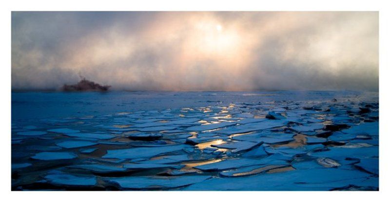 :: буревестникphoto preview