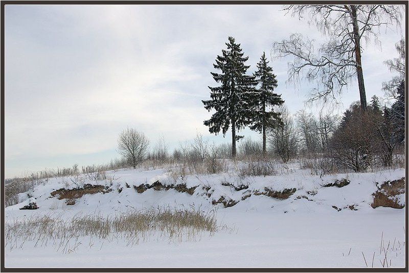 лес,зима У озераphoto preview