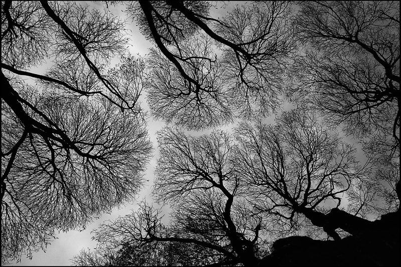 небо,дыхание,артерии,кровь Капиллярыphoto preview