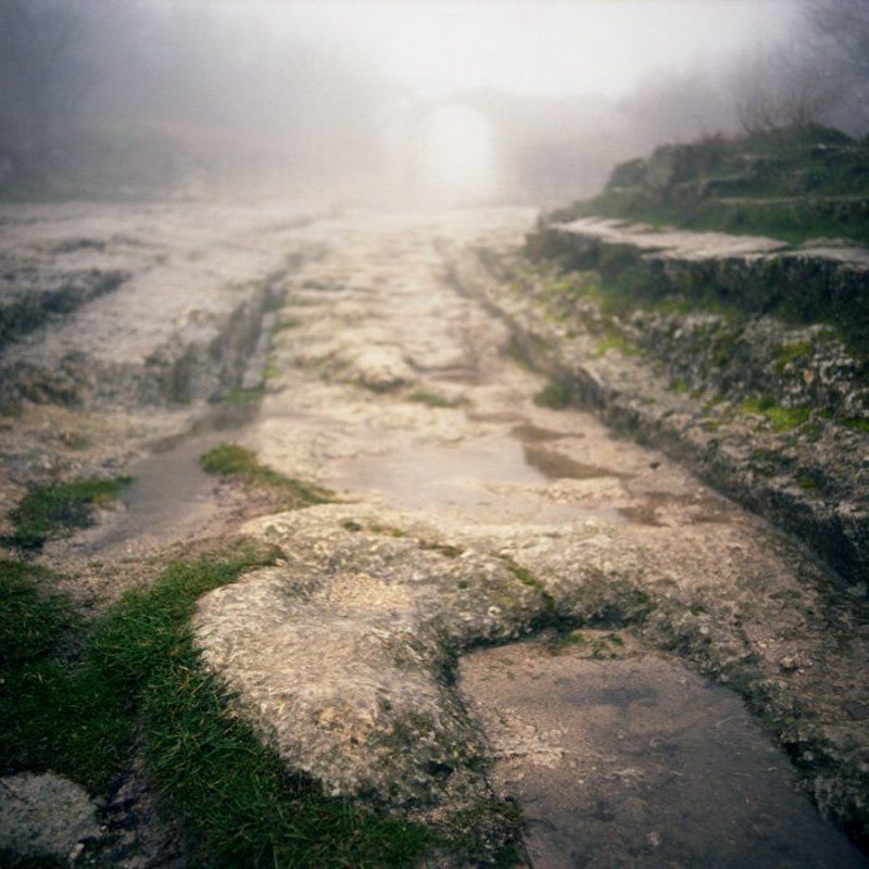 Колеяphoto preview