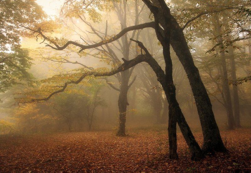 крым Осенняя зарисовкаphoto preview