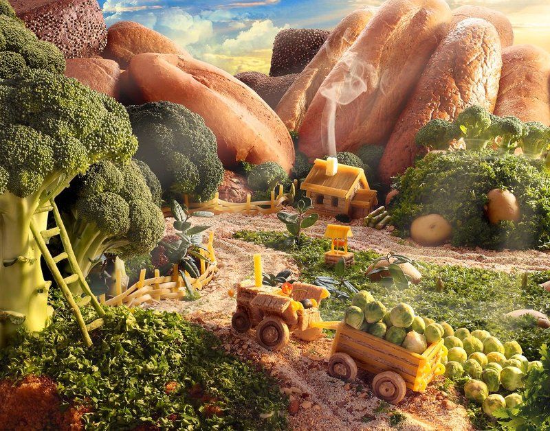 дом трактористаphoto preview