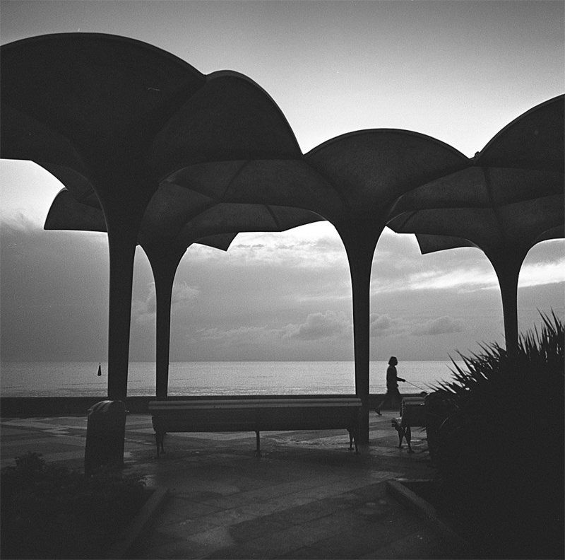 Зонтикиphoto preview