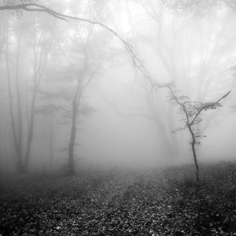 Прикосновениеphoto preview