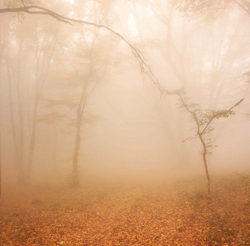 Хрупкостьphoto preview