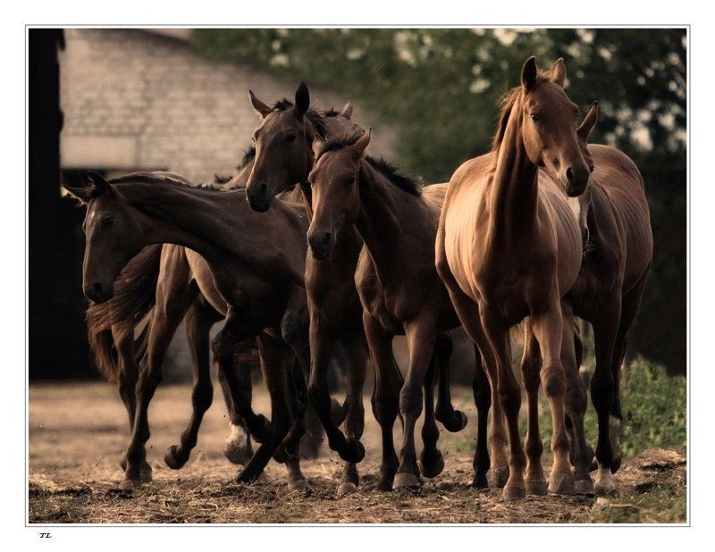 Ранним утромphoto preview