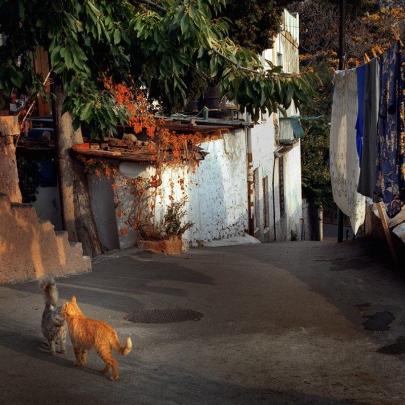 Встречаphoto preview