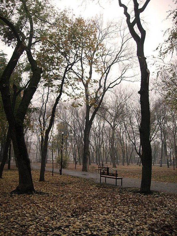 Осеннее настроениеphoto preview