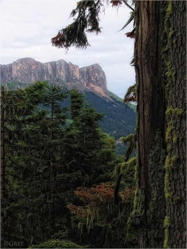 тхач,горы,лес Первозданностьphoto preview