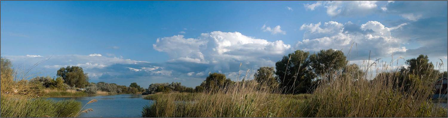дон, лагутник, ростов-на-дону, wofa