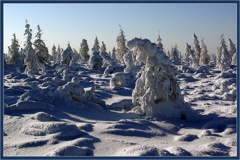 тайга,заполярье,зима Март Заполярьяphoto preview