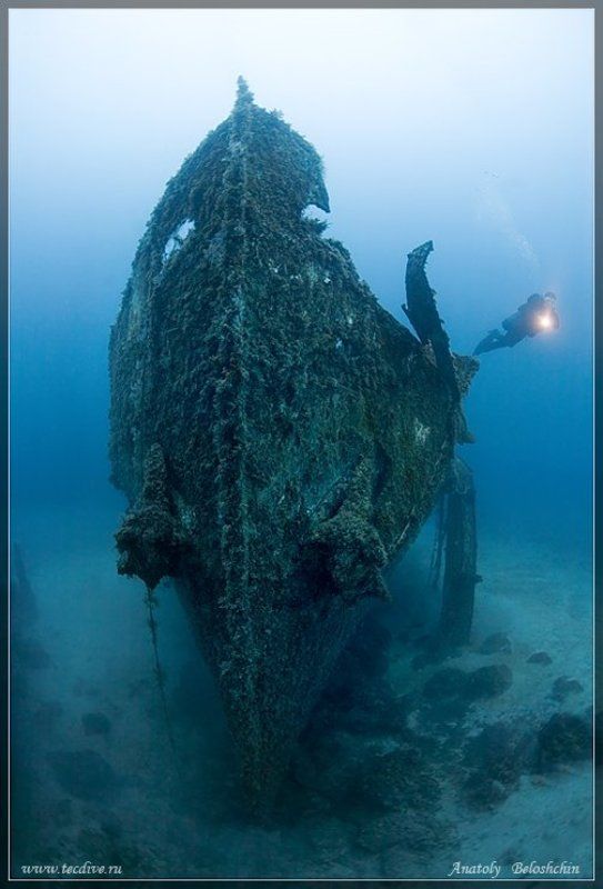 затонувшее, судно, imperial, eagle, средиземное, море, мальта, anatoly, beloshchin, side, mount Последняя гавань (подводное фото)photo preview
