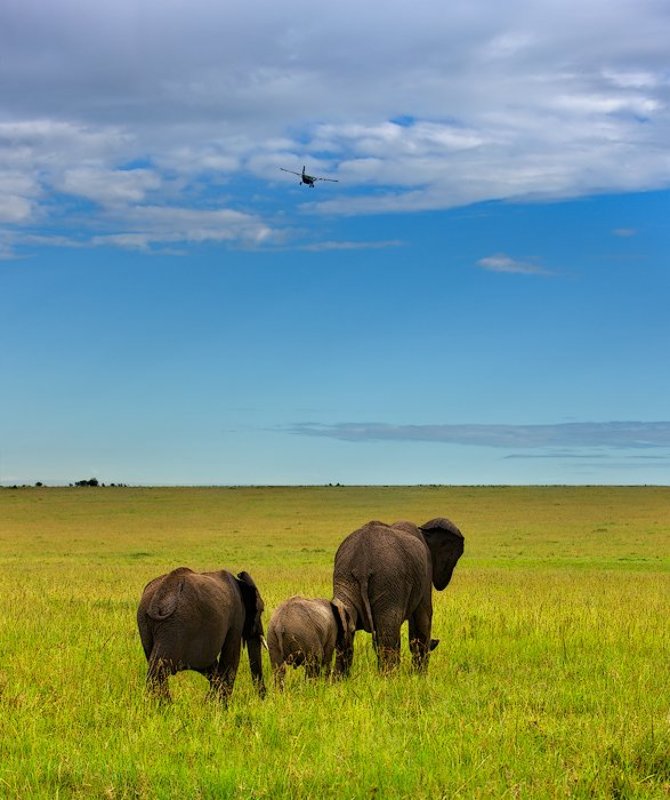 туда, куда улетают самолеты...photo preview