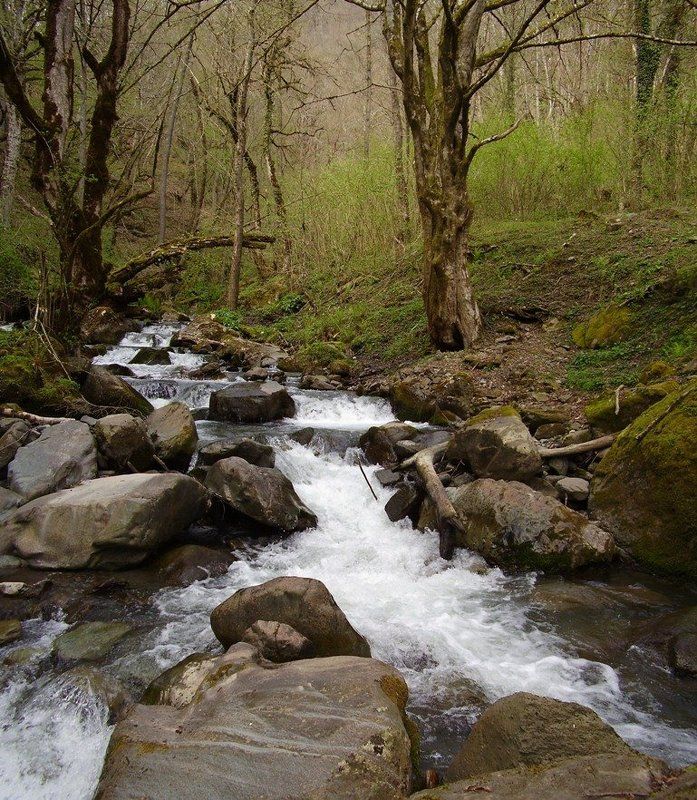 весна, панорама, ручей, вода, лес, сочи, красная поляна Весенний горный ручейphoto preview