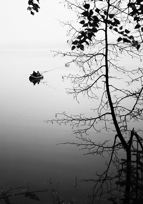 утро туман про рыбалкуphoto preview