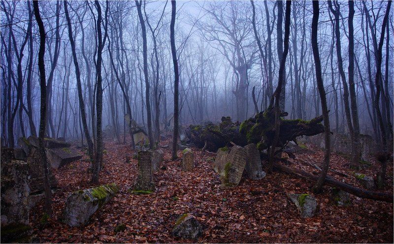 Балта-Тиймезphoto preview