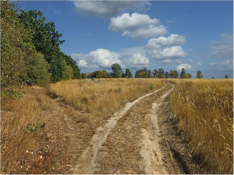 По дороге с облакамиphoto preview