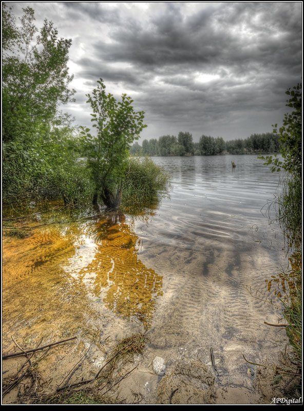 Предгрозовоеphoto preview