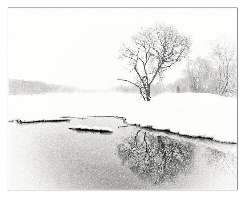 на зимнее дерево сливы будь сердцем своим похожphoto preview