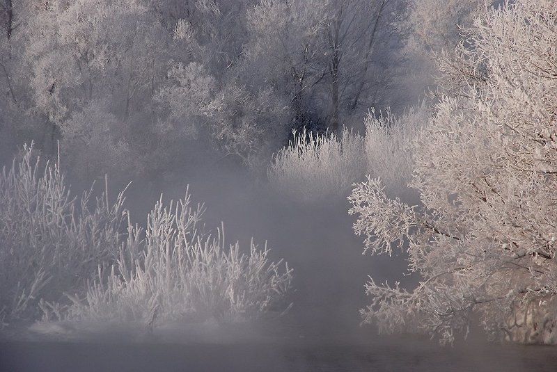 иртыш,зима,иней ***photo preview