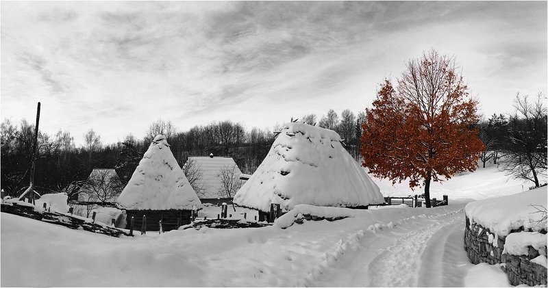 Отголоски осениphoto preview