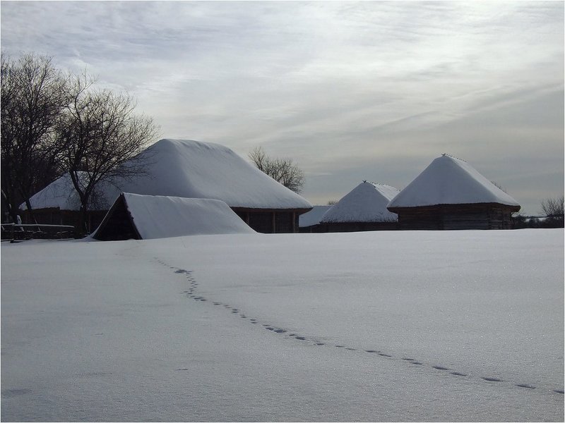 Подснежникиphoto preview