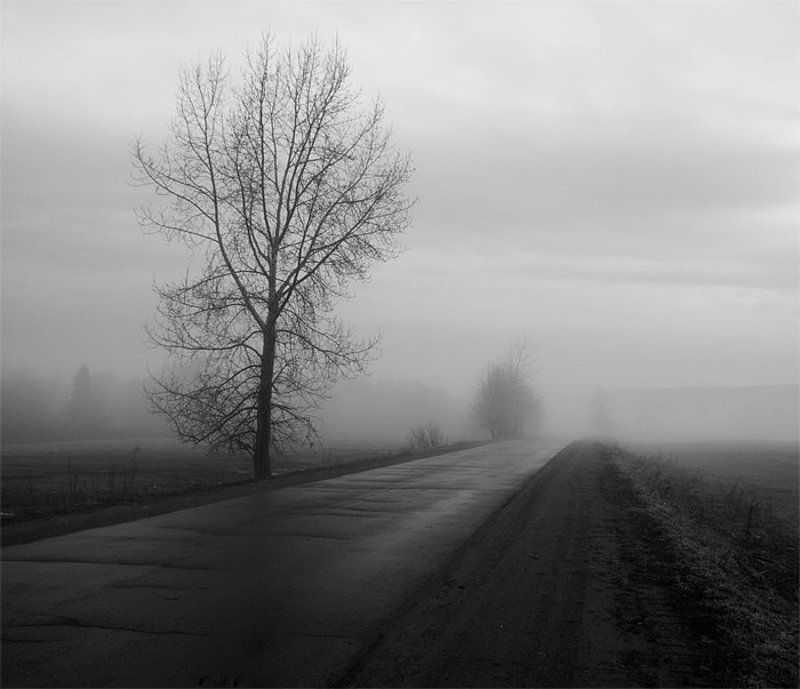 утро туман без названияphoto preview