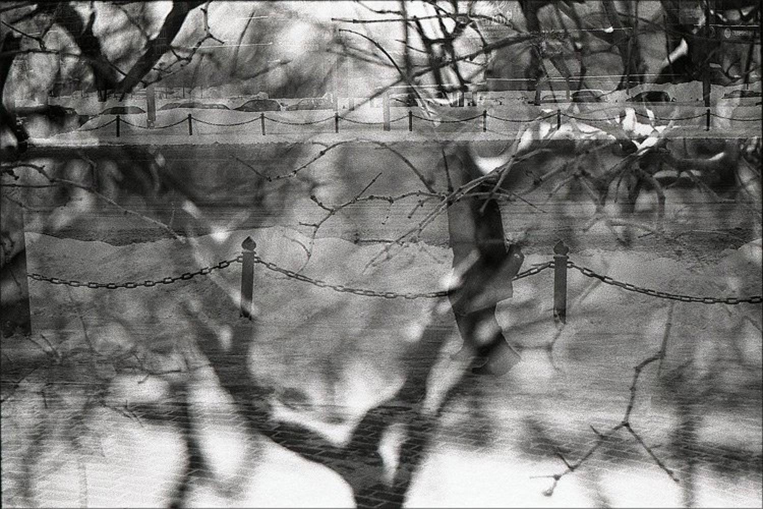 2010, город, дерево, зима, мульт, пленка, февраль, чб, todublin