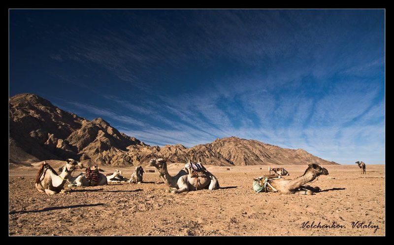 фото привалphoto preview