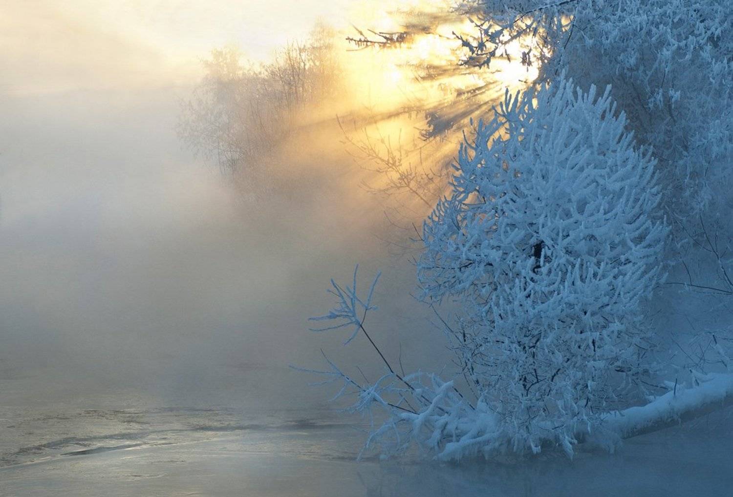 В первый день весны. Автор: Макс Шамота зима, закат, иней, река, солнце, туман, Макс Шамота