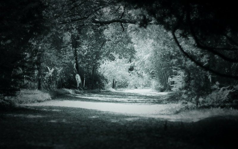 Еще немного Абхазииphoto preview