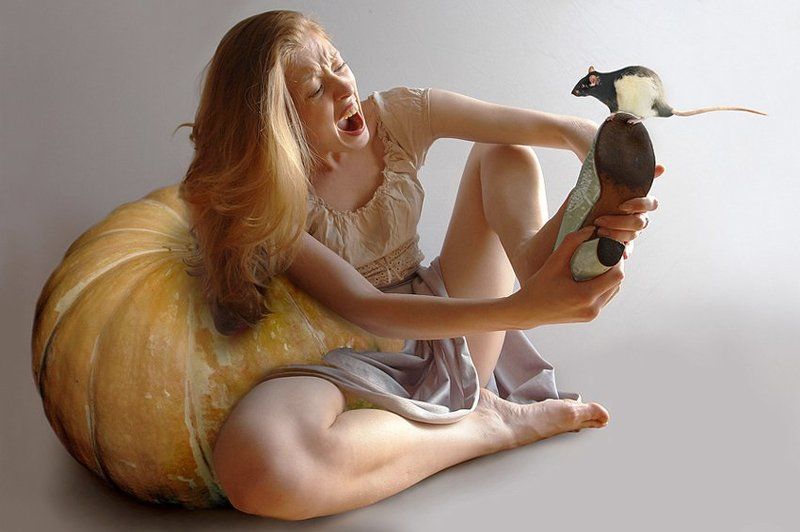 страшный сон Золушки фото превью