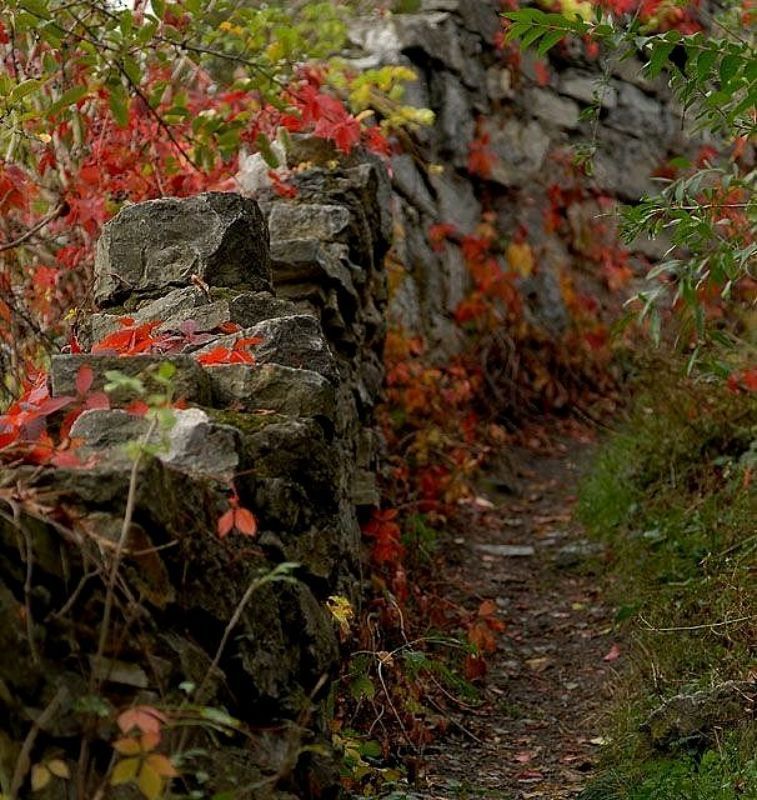 каменец-подольский, осень  фото превью