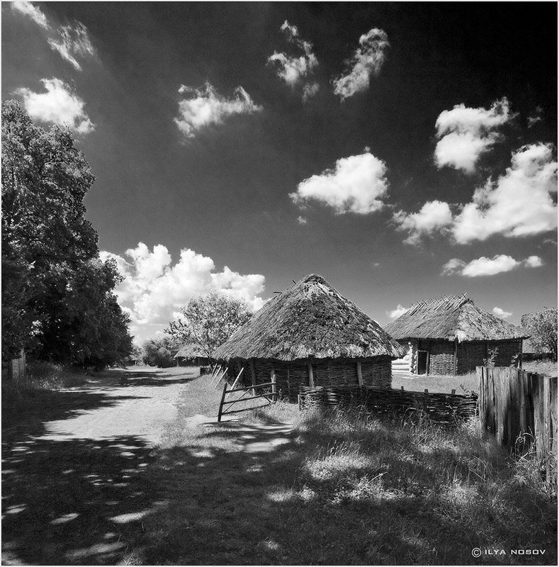 Пятнистаяphoto preview