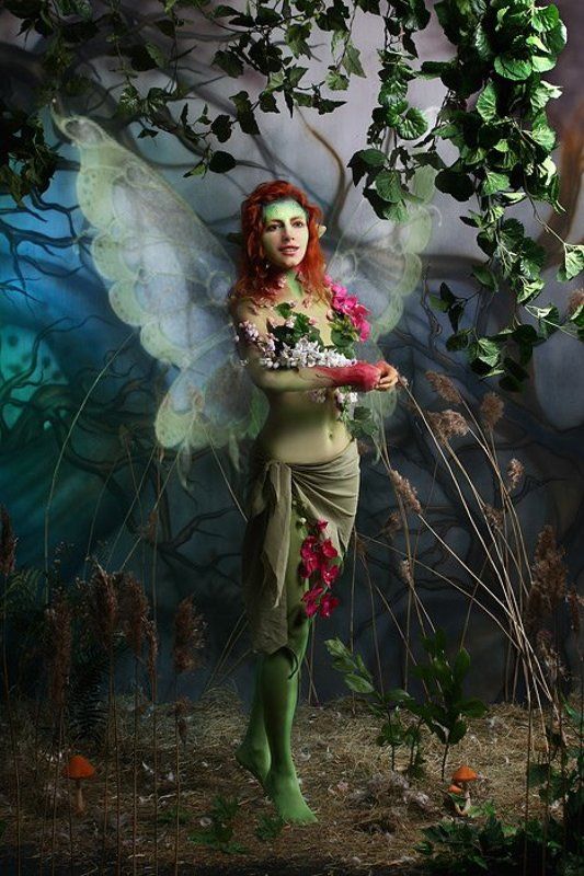 Fairy Talesphoto preview