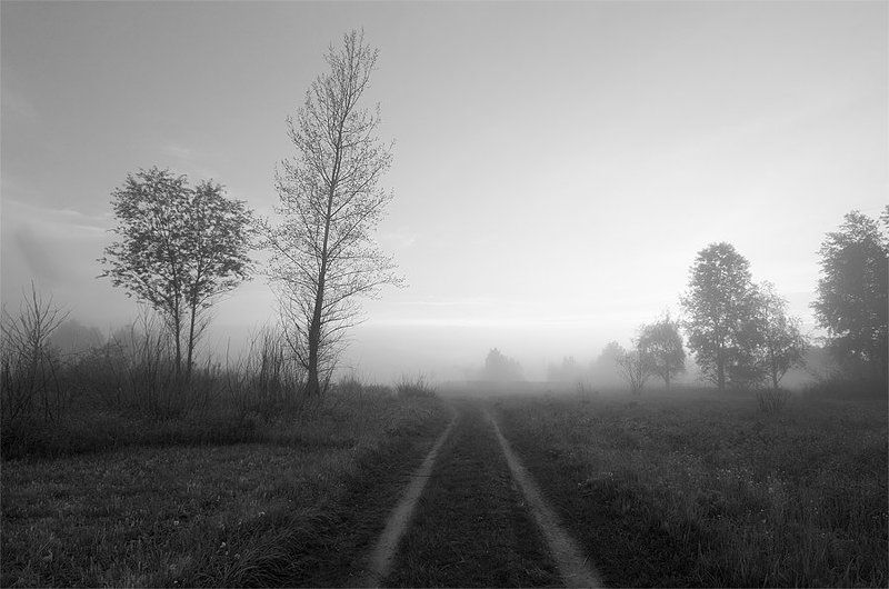 утро туман photo preview