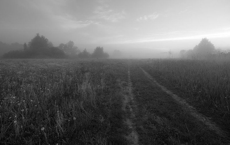 утро туман photo preview