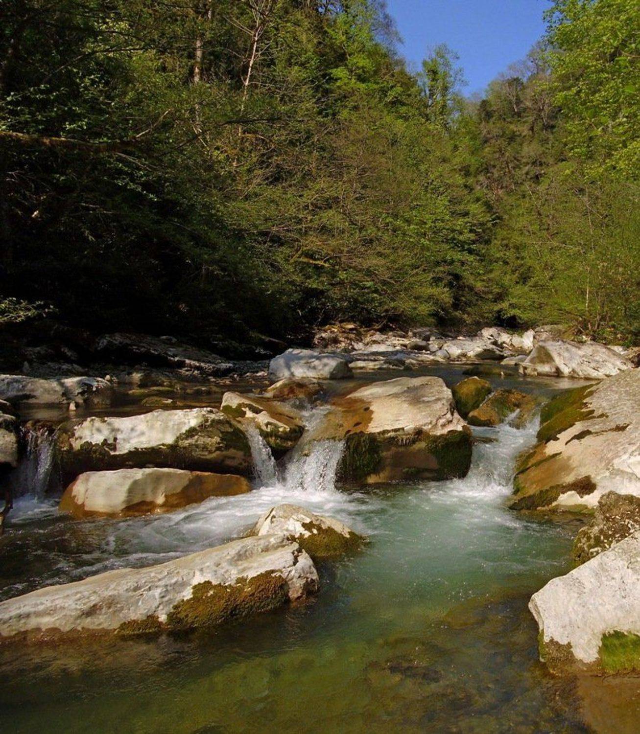 весна, панорама, река, вода, лес, сочи, Наталья Герасименко