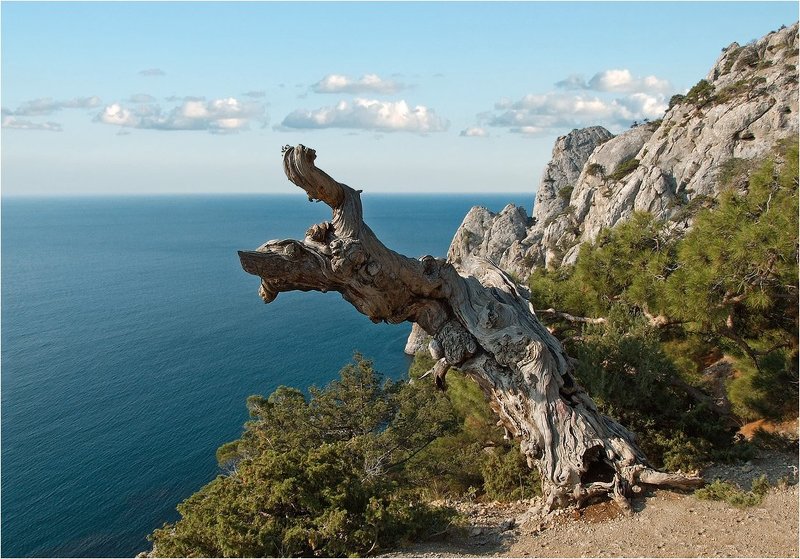 Страж долины Тавровphoto preview