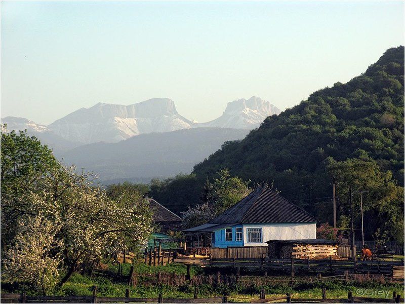 Дикая Швейцарияphoto preview