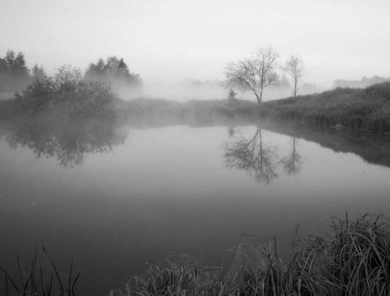 утро туман &**photo preview