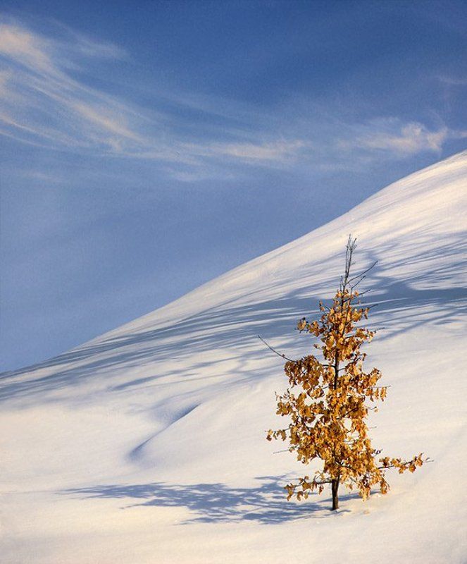 Снежные зарисовки. (3)photo preview