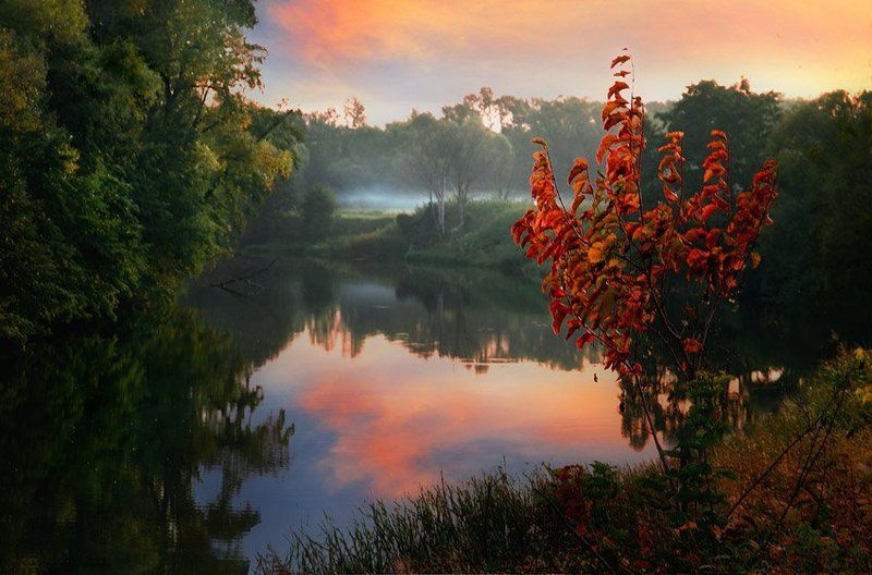 Осенний костер.photo preview