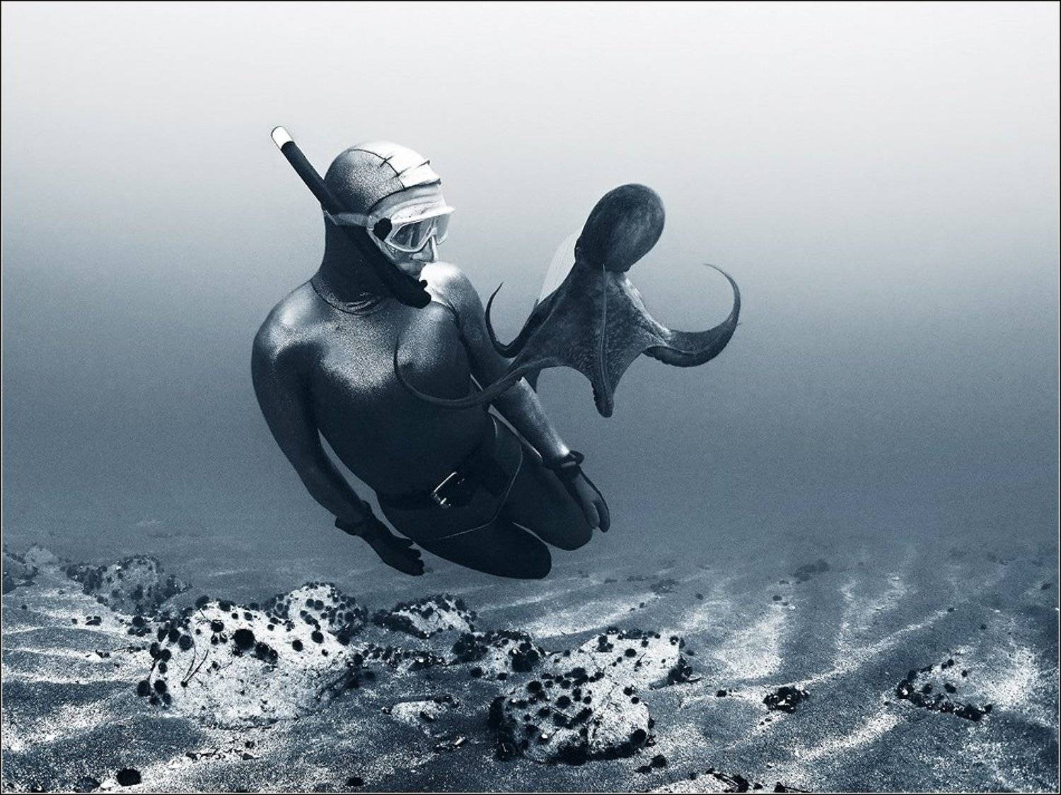 , Марина Кочетова