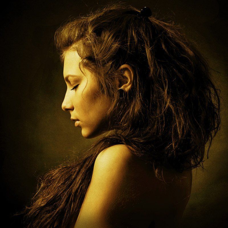 The Lionphoto preview