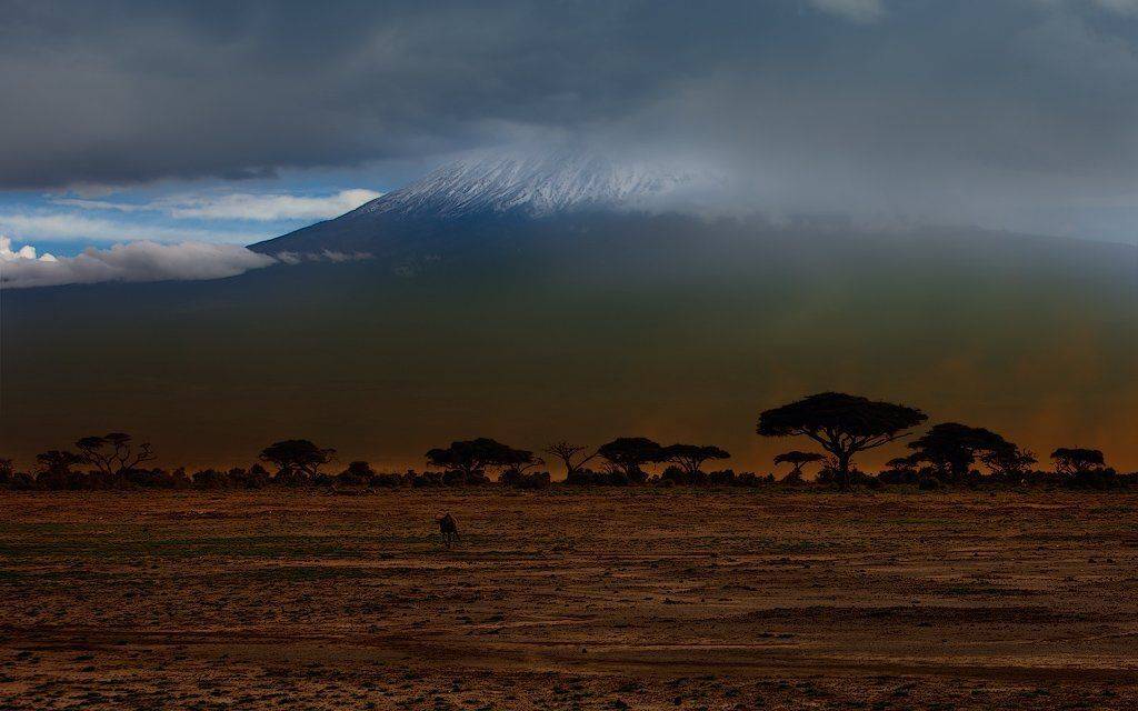 ***. Автор: kitufo , kitufo