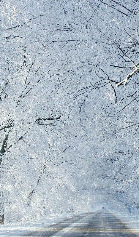 Без просвета...photo preview