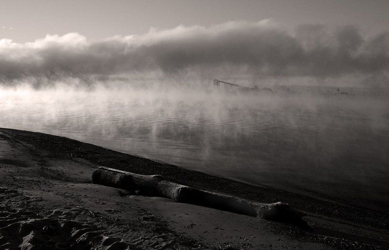 утро туман photo preview