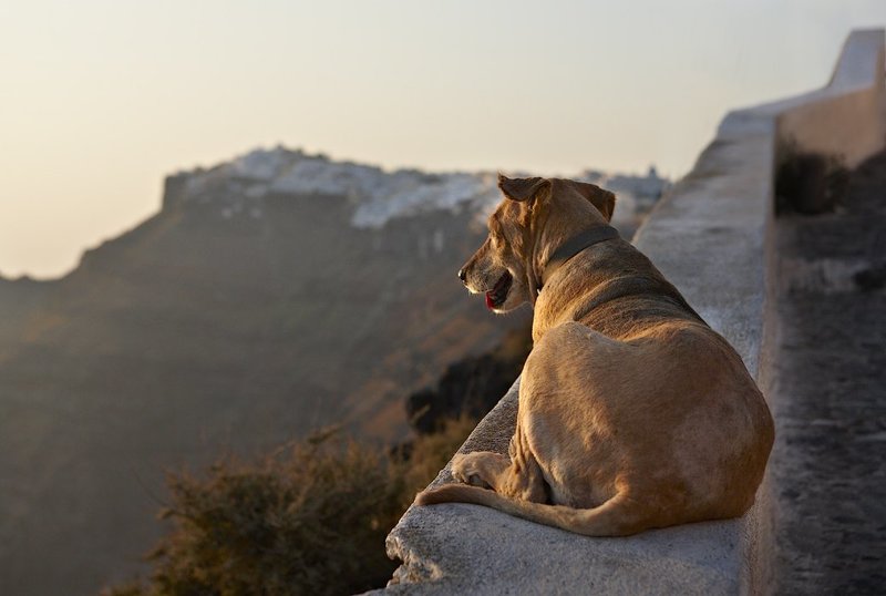 ожидание равное вечностиphoto preview
